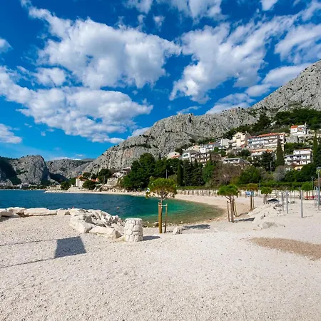 Damir Omiš